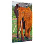 Porte-bloc Photo d'éléphant d'Afrique adulte (Swatch)