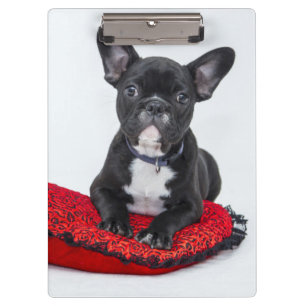 Porte-bloc Photo d'un adorable chiot bouledogue noir et blanc