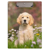 Porte-bloc Photo mignonne de chiot de chien de golden (Devant)