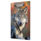 Porte-bloc Photographie de loup (Gauche)