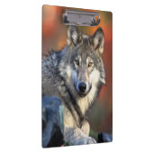 Porte-bloc Photographie de loup (Swatch)