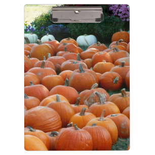 Porte-bloc Photographie de récolte d'automne des citrouilles 