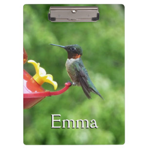 Porte-bloc Photographie d'oiseau de colibri à gorge rubis