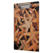 Porte-bloc Photographie Tropical Starfish (Gauche)
