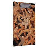 Porte-bloc Photographie Tropical Starfish (Swatch)