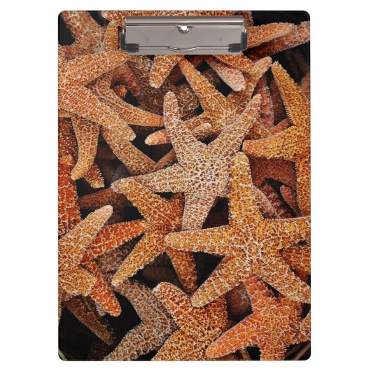 Porte-bloc Photographie Tropical Starfish (Devant)