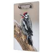 Porte-bloc Pic maculé mâle (Gauche)