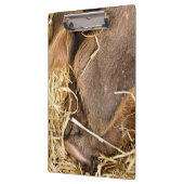 PORTE-BLOC PIG (Gauche)