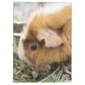 Porte-bloc Piggy (Dos)