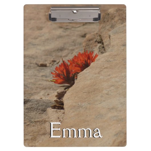 Porte-bloc Pinceau indien en roche à Sion (Devant)