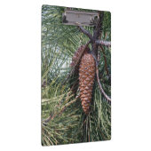 Porte-bloc Pinecone sur le pin (Swatch)