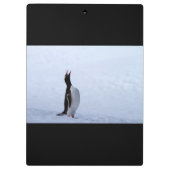 Porte-bloc Pingouin Gentoo (Dos)