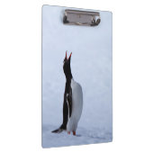 Porte-bloc Pingouin Gentoo (Swatch)