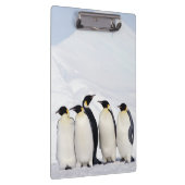 Porte-bloc Pingouins d'empereur (Swatch)