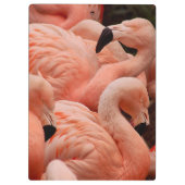 Porte-bloc Pink flamingos (Dos)