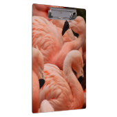Porte-bloc Pink flamingos (Swatch)