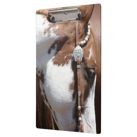 Porte-bloc Pinto occidental (Gauche)