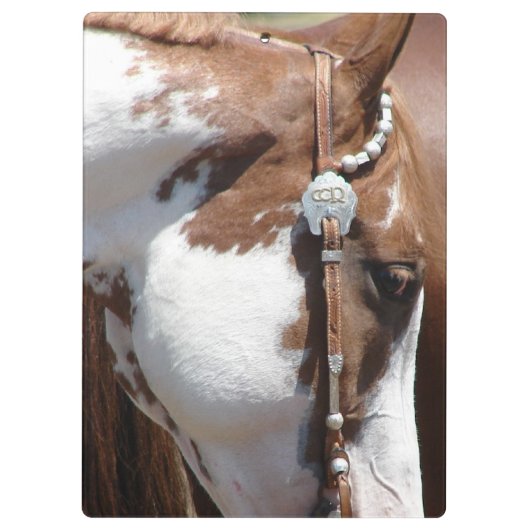 Porte-bloc Pinto occidental (Dos)