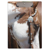 Porte-bloc Pinto occidental (Devant)