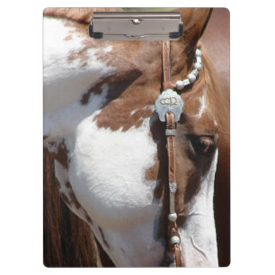 Porte-bloc Pinto occidental