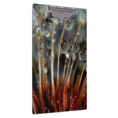 Porte-bloc Pissenlit et gouttes d'eau, CA (Swatch)
