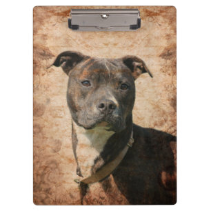 Porte-bloc Pitbull Brindle