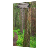 Porte-bloc Pittoresque de forêt ancienne (Gauche)