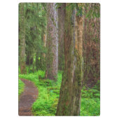 Porte-bloc Pittoresque de forêt ancienne (Dos)