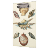 Porte-bloc Plage de Shell soignée (Gauche)