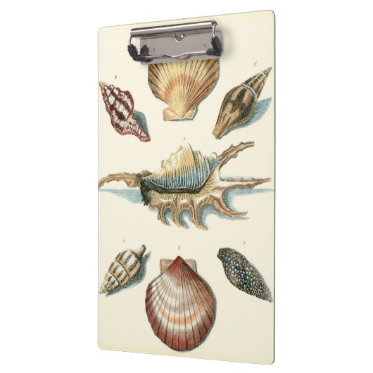 Porte-bloc Plage de Shell soignée (Gauche)