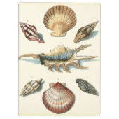 Porte-bloc Plage de Shell soignée (Dos)