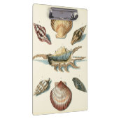 Porte-bloc Plage de Shell soignée (Swatch)