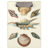 Porte-bloc Plage de Shell soignée (Devant)