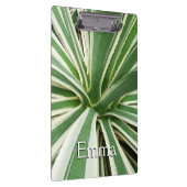 Porte-bloc Plante Agave Vert et blanc rayé (Swatch)