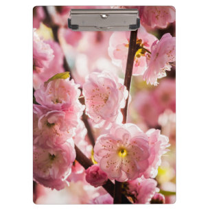 Porte-bloc Plum à fleurs - Paradize rose