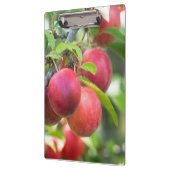 Porte-bloc Plum cerise sur branche (Gauche)