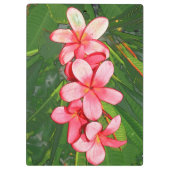 Porte-bloc Plumerias (Dos)