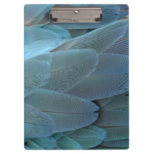 Porte-bloc Plumes bleues