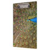 Porte-bloc Plumes de queue de paon (Gauche)
