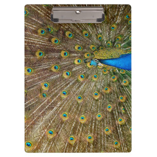 Porte-bloc Plumes de queue de paon