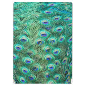 Porte-bloc Plumes d'oiseaux de paon Monogramme Carte d'écrêta (Dos)