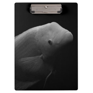 Porte-bloc Poisson dans un réservoir - Photographie d'art noi