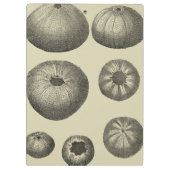 Porte-bloc Poisson noir et blanc (Dos)