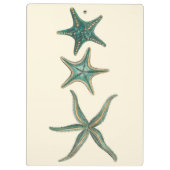 Porte-bloc Poisson triplé aquamarine (Dos)