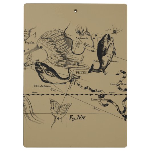 Porte-bloc Poissons Constellation Hevelius vers 1690 (Dos)