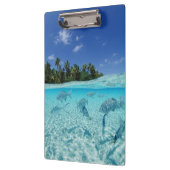 Porte-bloc Poissons en mer (Gauche)