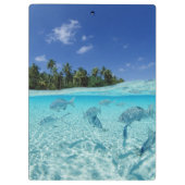 Porte-bloc Poissons en mer (Dos)