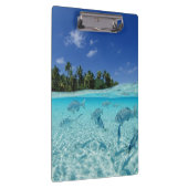 Porte-bloc Poissons en mer (Swatch)