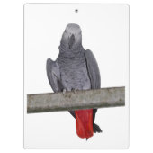 Porte-bloc Polly Porte - bloc (choisir la couleur) (Dos)