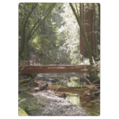 Porte-bloc Pont de Muir Woods II (Dos)